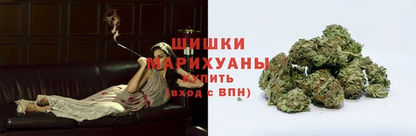 стаф Рославль