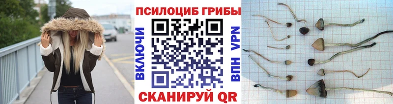 наркотики  Михайловка  Псилоцибиновые грибы ЛСД 