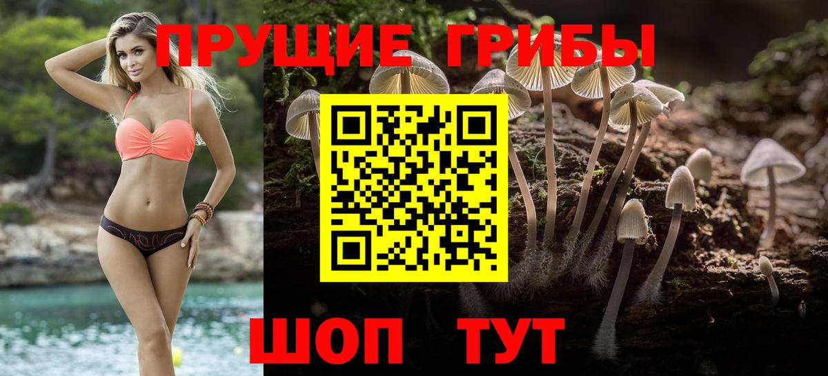 Галлюциногенные грибы Cubensis  где купить   Михайловка  Галлюциногенные грибы GOLDEN TEACHER  Вход с VPN 
