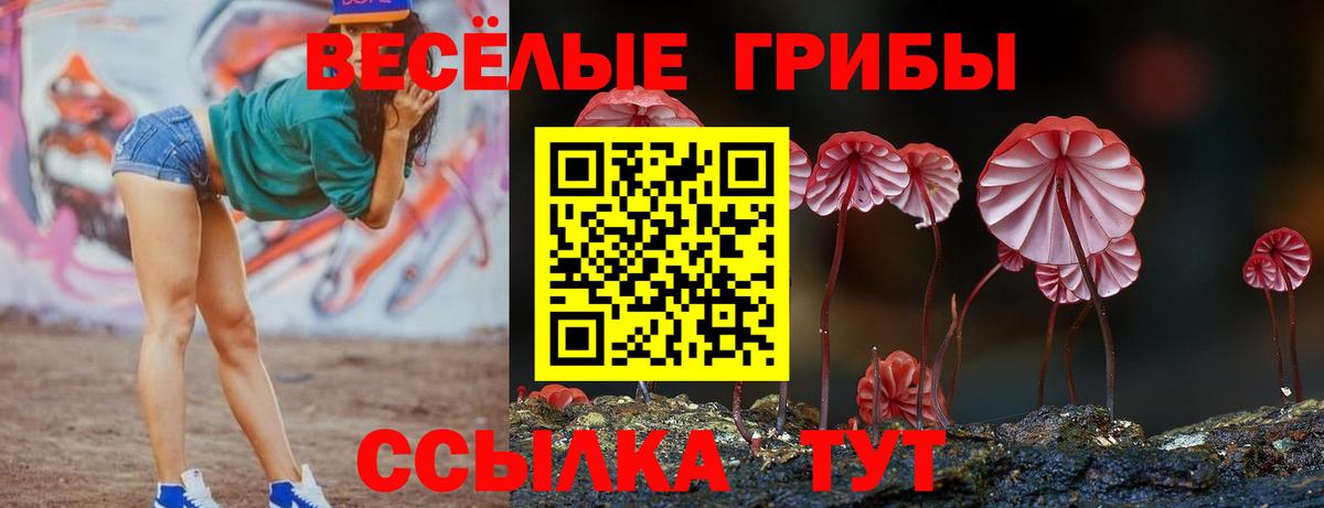 Метамфетамин Михайловка